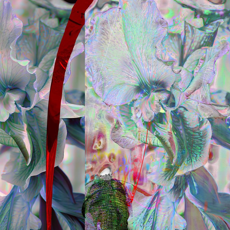 Alex Fischer, 2024-11-26, digital